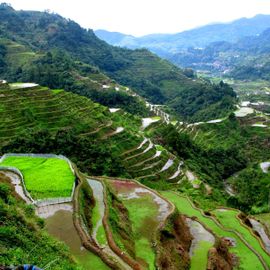 Bukit Jambul, the Amazing Agricultural Landscape at Karangasem