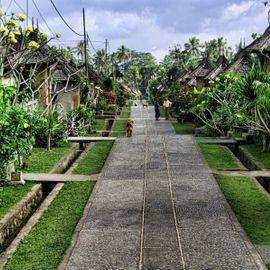 Penglipuran Traditional Village, a Clean and Comfortable Village in Bangli Regency