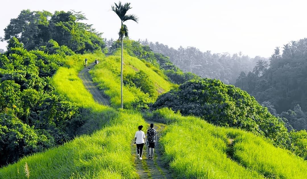 Visitbali - Feel The Cool Air Of Ubud On The Campuhan Hill