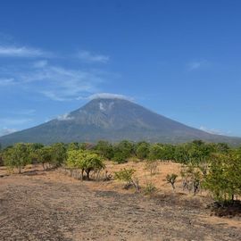 Exotic Tourism to Tianyar Savanna