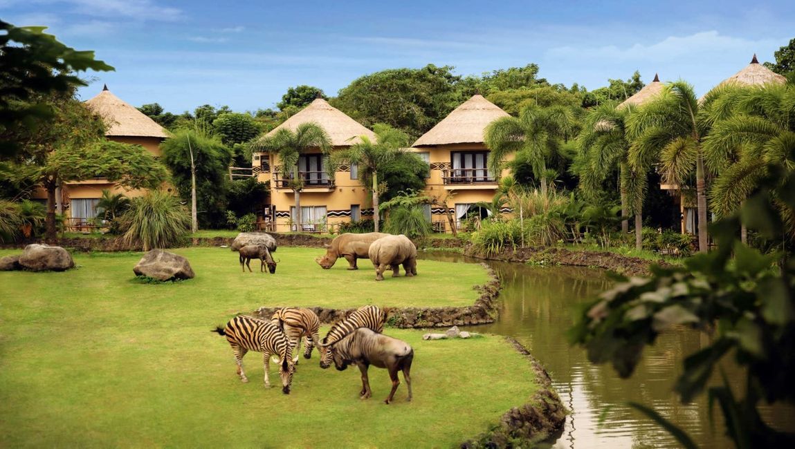 Enjoy Africa in Bali? Yes, You Can!