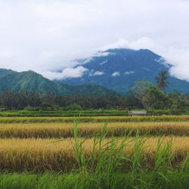 Visitbali - Wandering In The Beautiful Hills Of Heaven