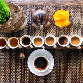 Facts Behind the Distinctive Aroma of Bali Pulina Coffee