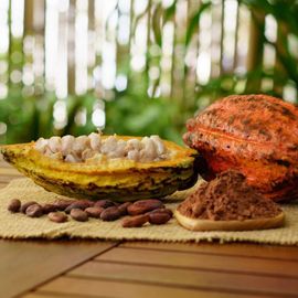 Cacao Jembrana, Harvesting Hope by Penetrating the World Market
