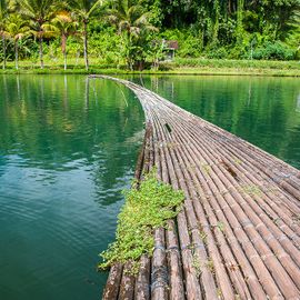 Enjoy the Peacefulness of Taman Mumbul