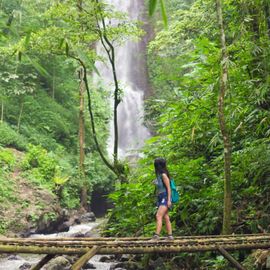 The Fresh Aroma of Coffee and Cloves at Melanting Waterfall