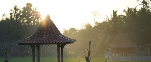 Telajakan, An Open Green Spaces in the Yard of Traditional Balinese Houses