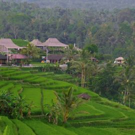 Ubud Tourism Village: Bali's Art Centre