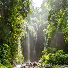 Having an Adventure to the Carat Buleleng Waterfall