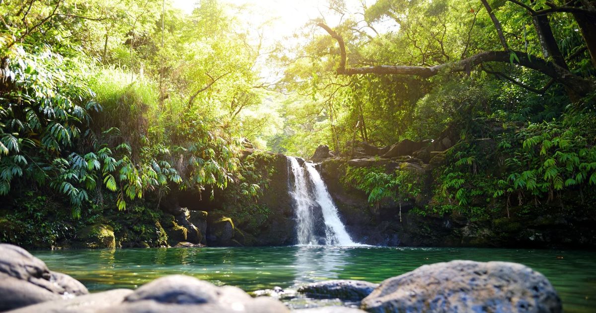 Visitbali - Soaking In The Penikit Waterfall Pool In The Middle Of A ...