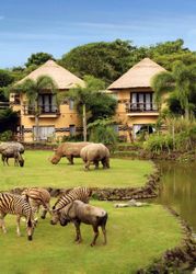 Enjoy Africa in Bali? Yes, You Can!