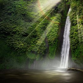 The Awakening Smell of Coffee Fragrance in Blemantung Waterfall