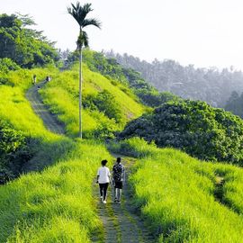Feel the Cool Air of Ubud on the Campuhan Hill