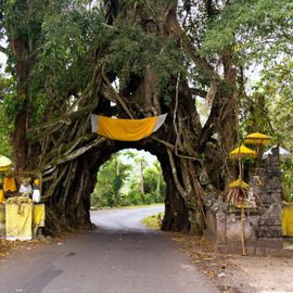 Bunut Bolong, Sacred Hole Under the Banyan Tree