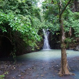 The Freshness of Singsing Waterfall Behind the Grove